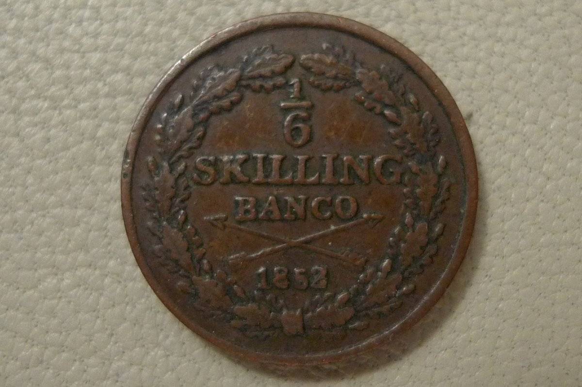 166-Days-Of-Yakko's-World-Coins