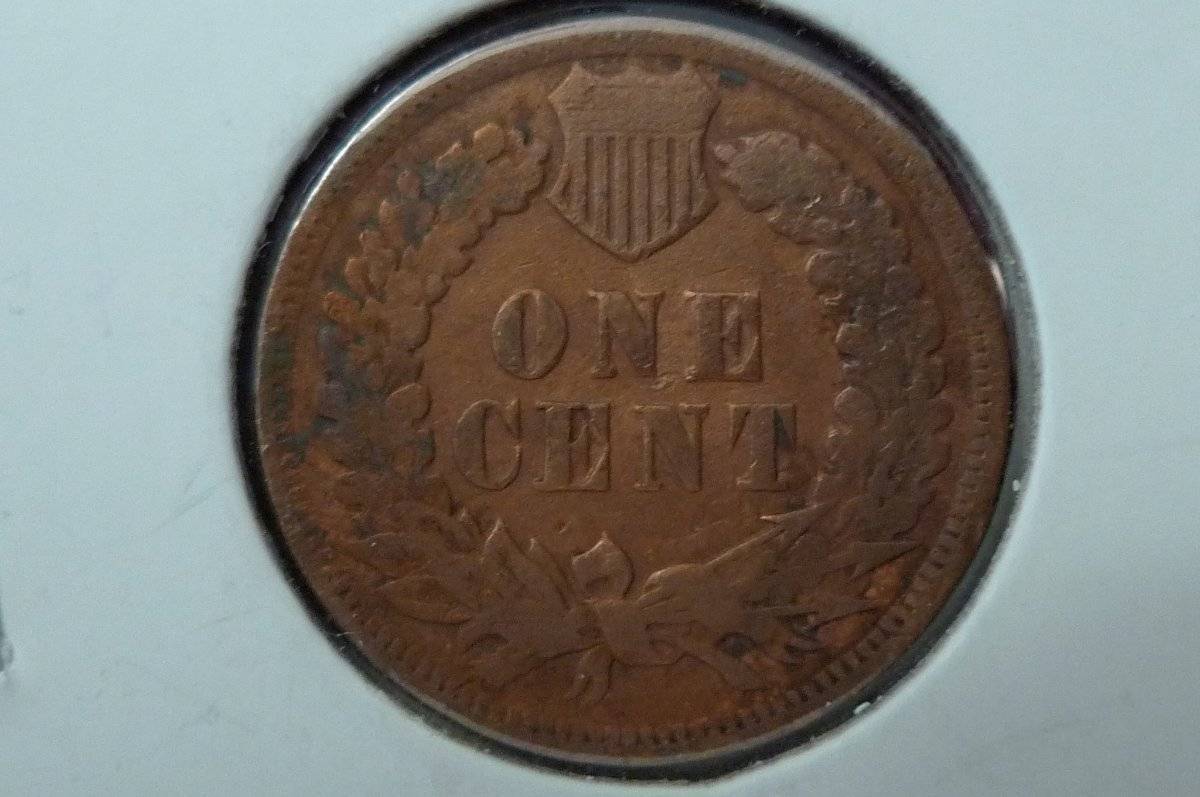 Indian-Cent-Monday-Post-Your-Pics.