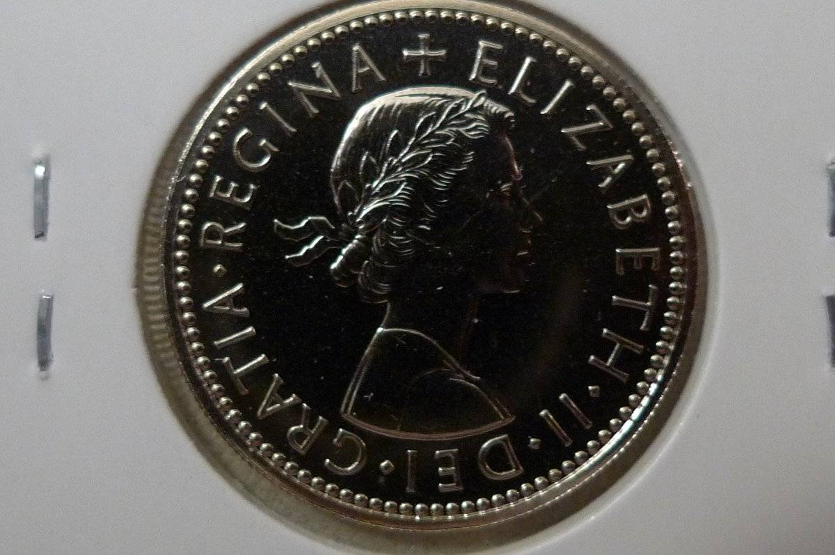166-Days-Of-Yakko's-World-Coins