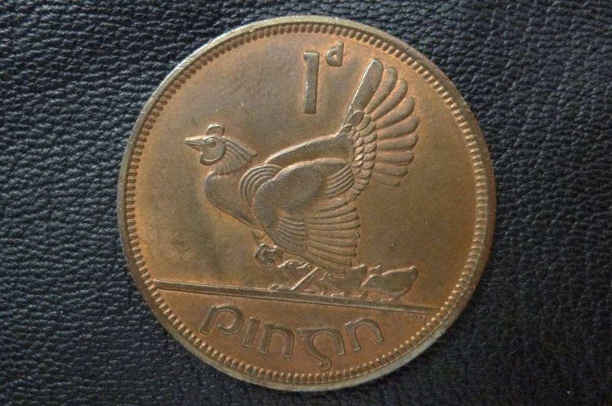166-Days-Of-Yakko's-World-Coins