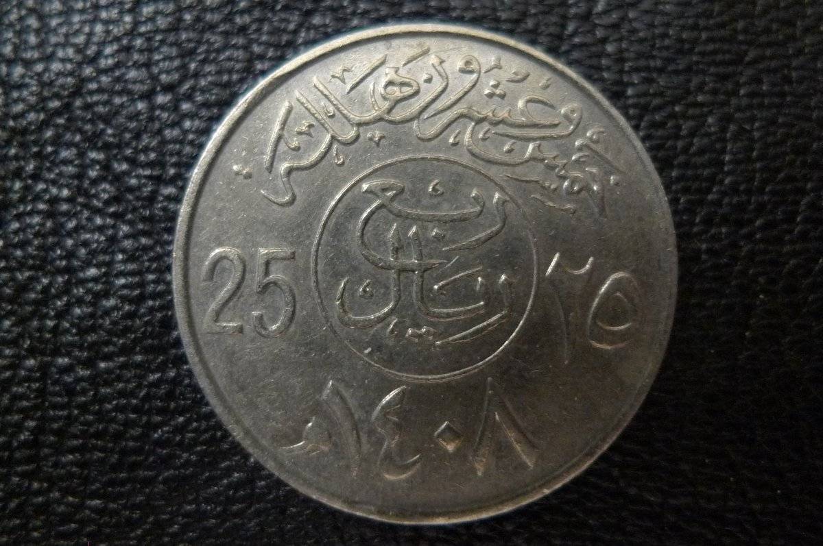 166-Days-Of-Yakko's-World-Coins