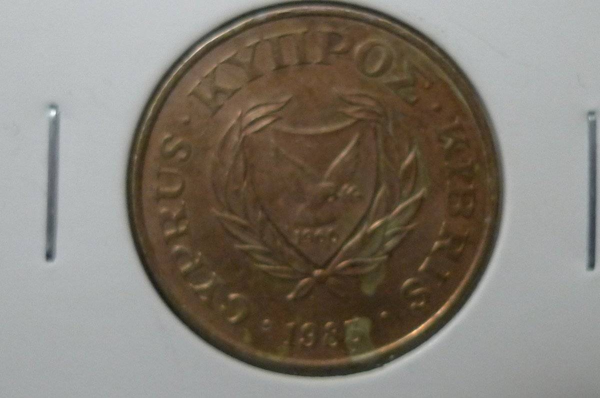 166-Days-Of-Yakko's-World-Coins
