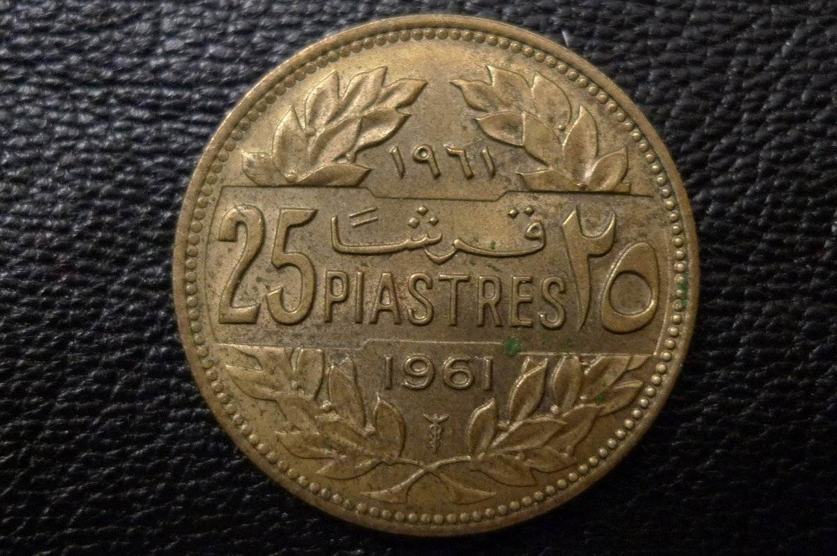 166-Days-Of-Yakko's-World-Coins