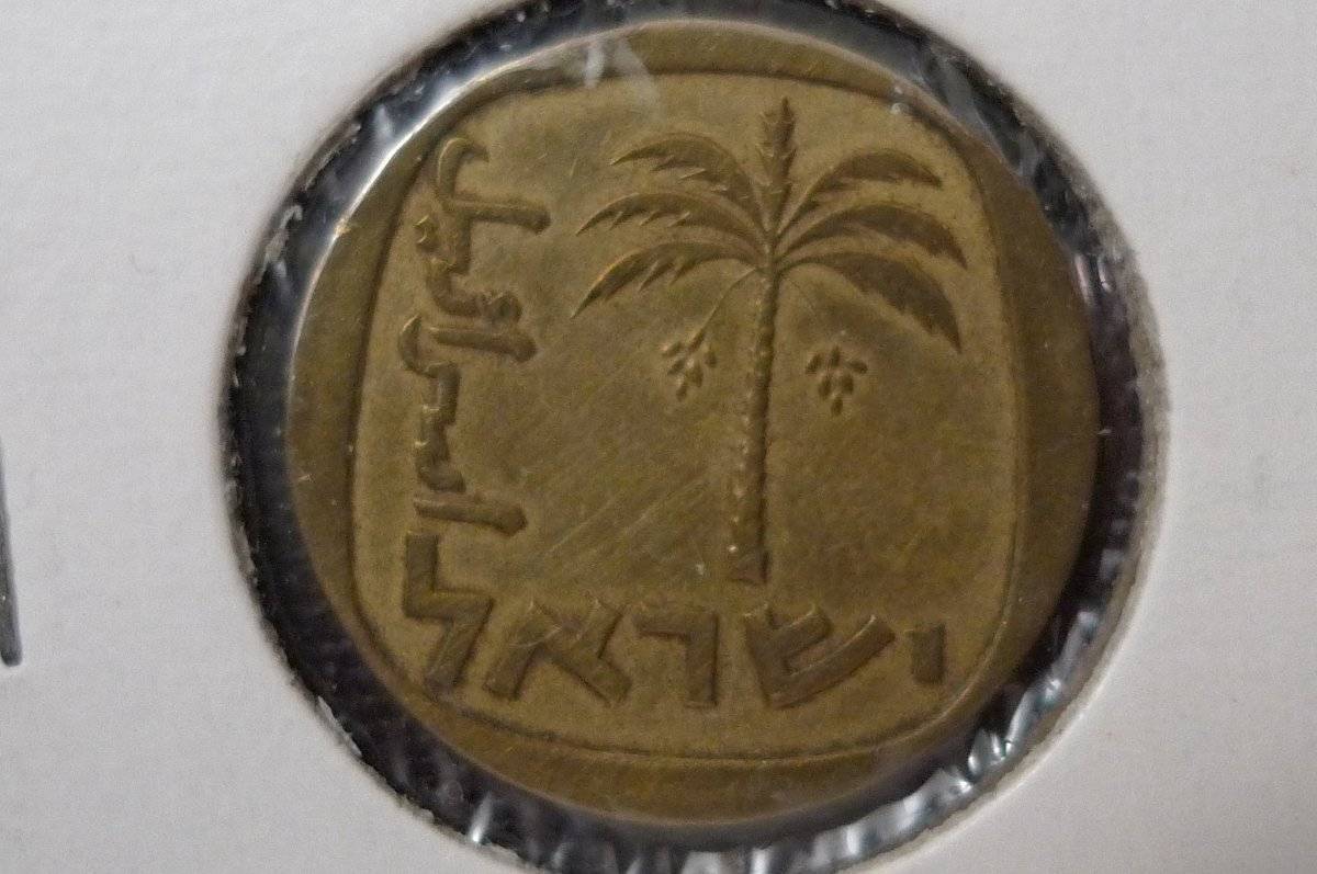 166-Days-Of-Yakko's-World-Coins