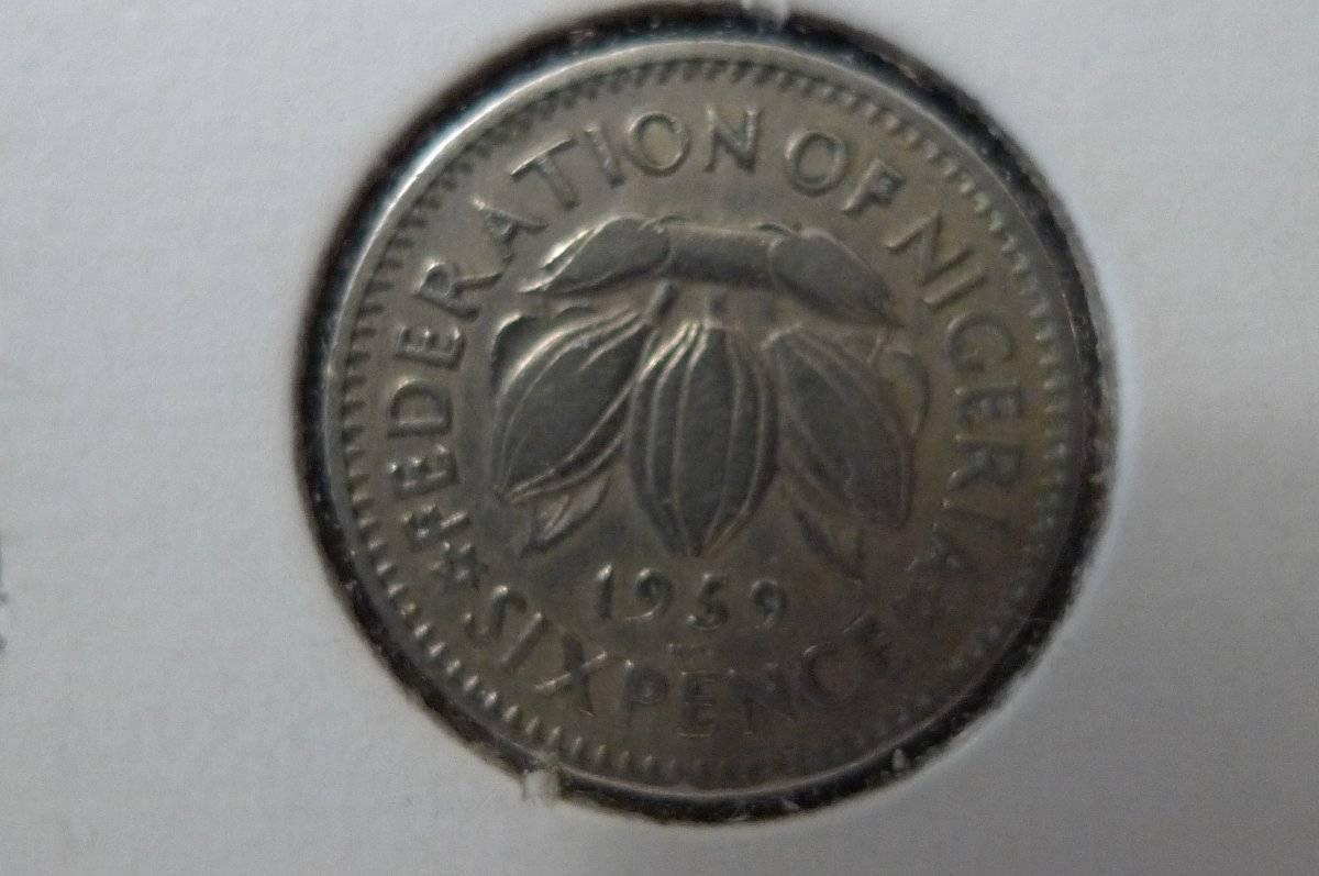 166-Days-Of-Yakko's-World-Coins