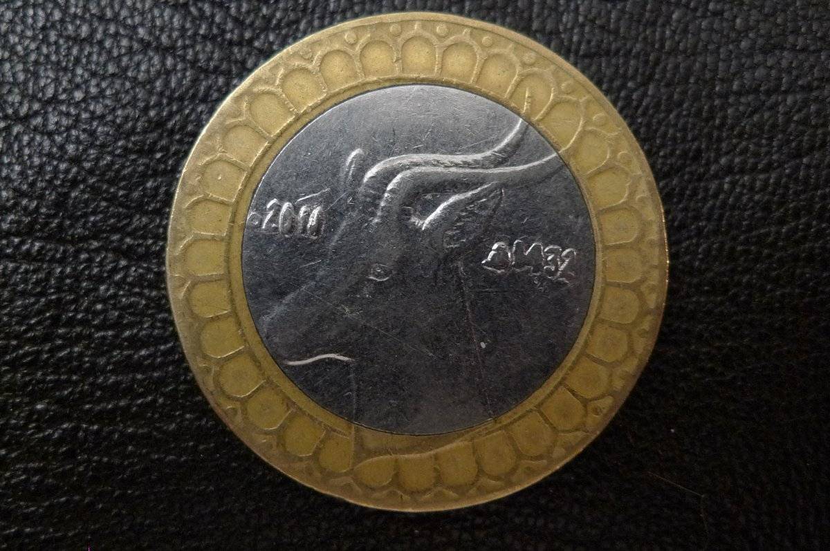 166-Days-Of-Yakko's-World-Coins