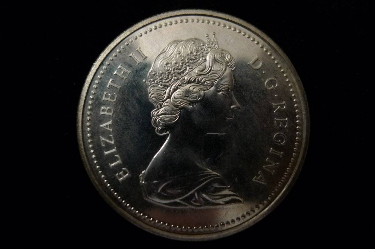 Post-Your-Coins-With-Horses