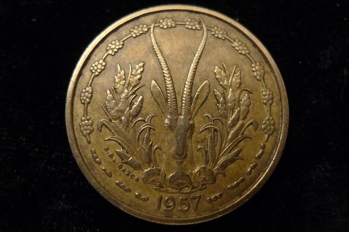 Post-Your-Coins-Representing-The-Animal-Kingdom.