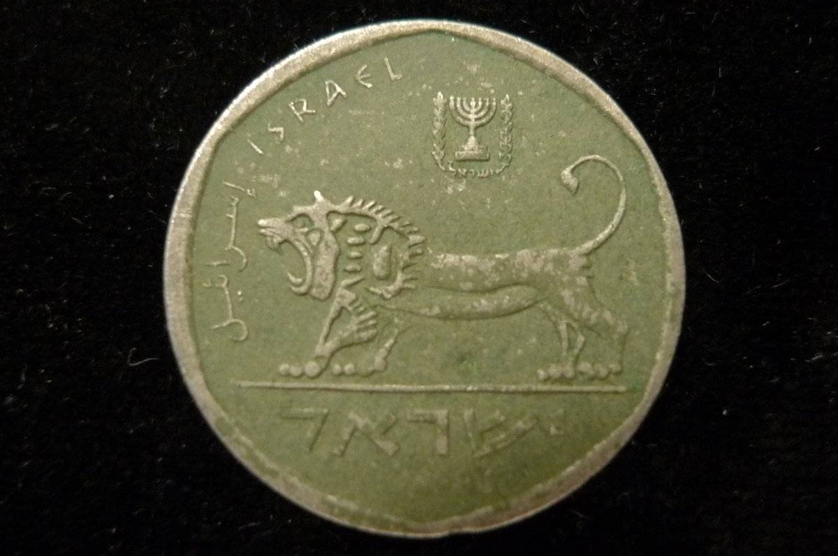 Post-Your-Lion-Coins!