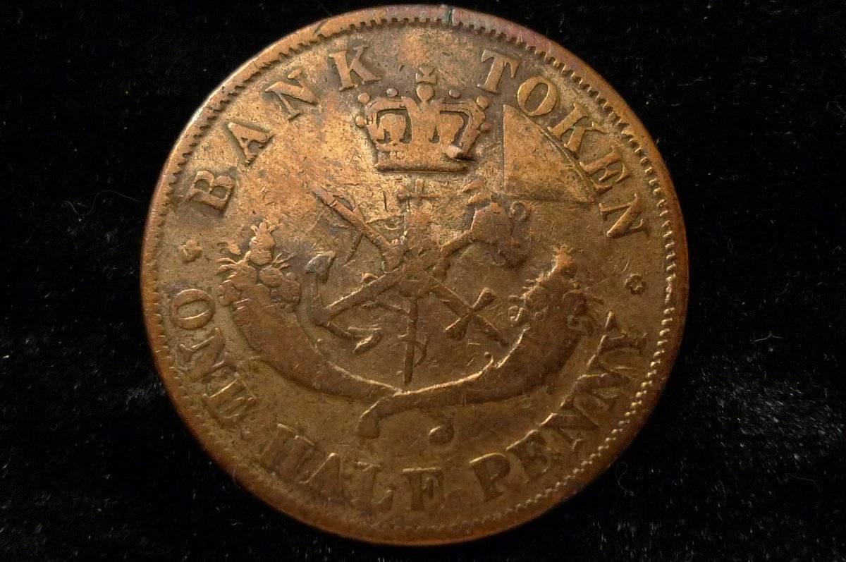 Post-Your-Coins-With-Horses