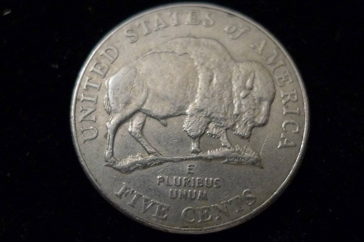 Post-Your-Coins-Representing-The-Animal-Kingdom.