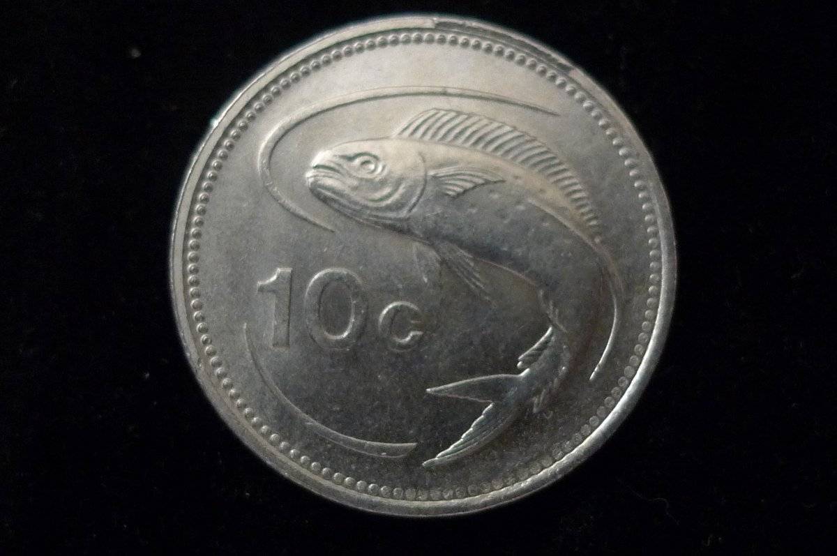 Post-Your-Coins-Representing-The-Animal-Kingdom.