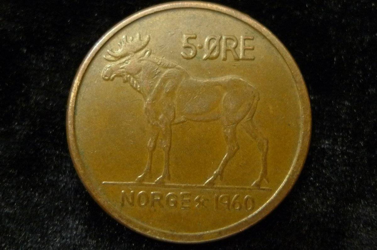Post-Your-Coins-Representing-The-Animal-Kingdom.