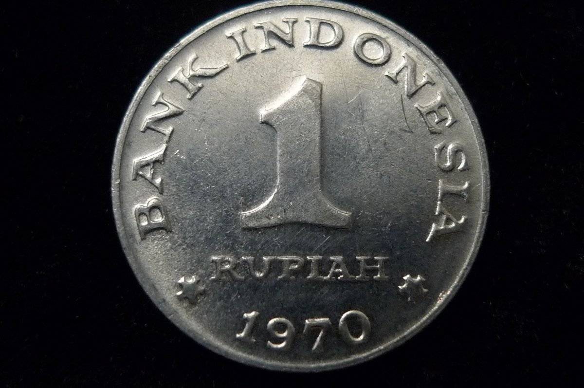 Post-Your-Coins-Representing-The-Animal-Kingdom.