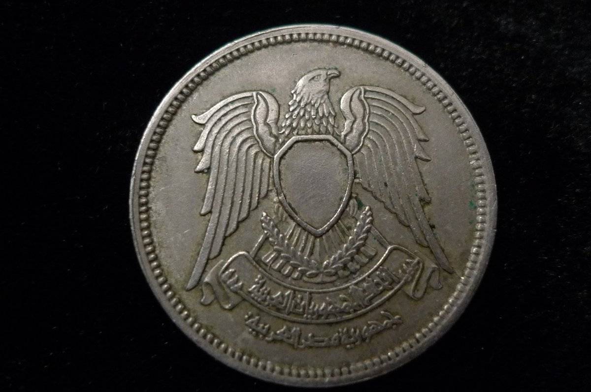 Post-Your-Coins-Representing-The-Animal-Kingdom.