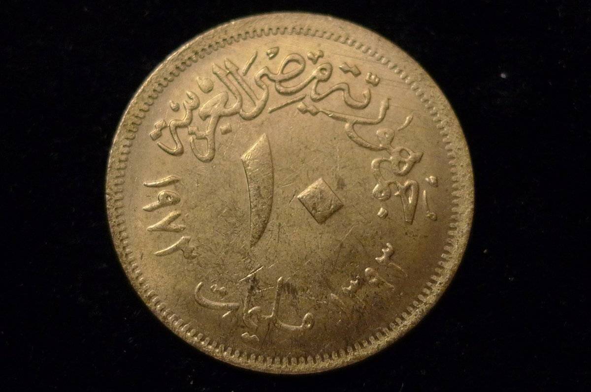 Post-Your-Coins-Representing-The-Animal-Kingdom.