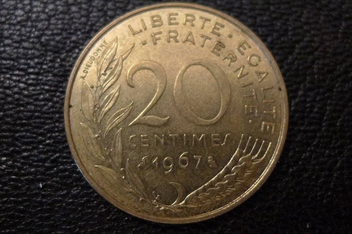 Post-Your-Coins-Representing-The-Animal-Kingdom.