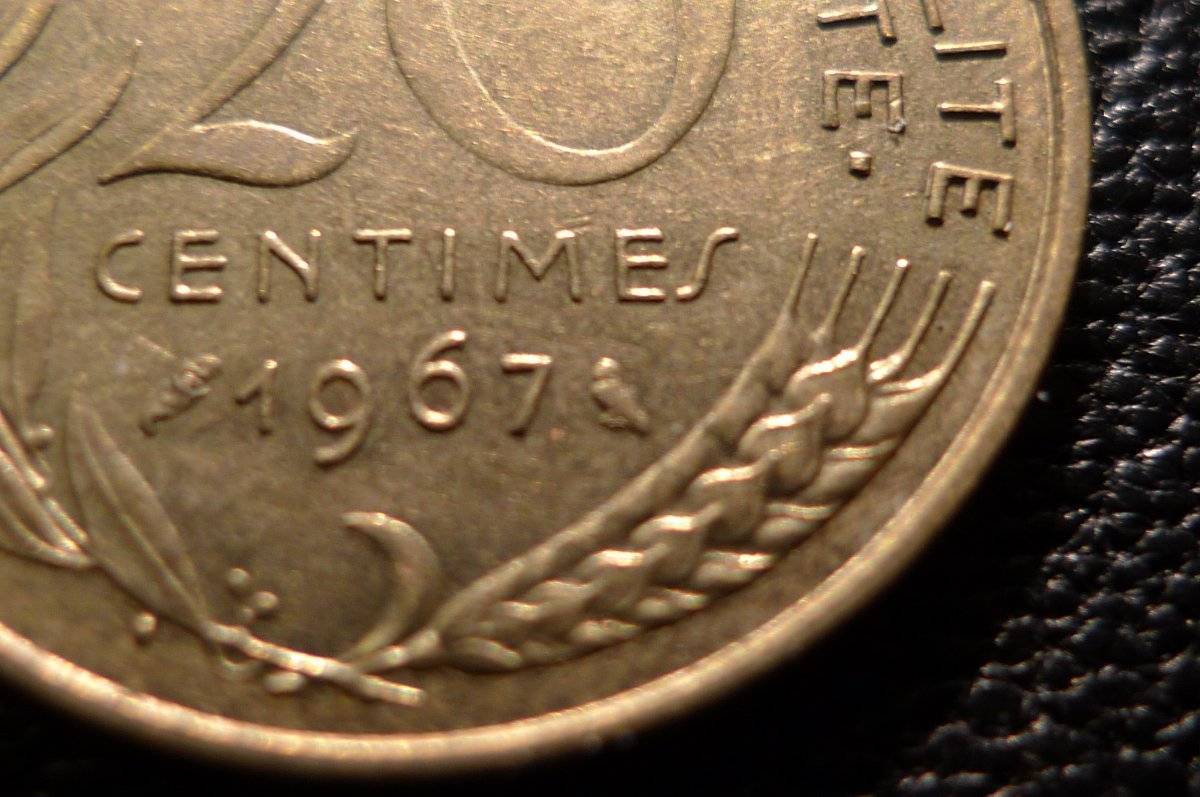 Post-Your-Coins-Representing-The-Animal-Kingdom.