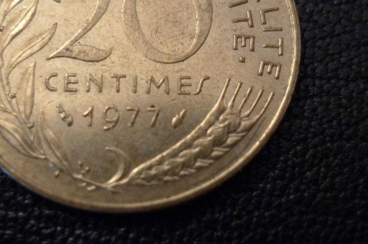 Post-Your-Coins-Representing-The-Animal-Kingdom.