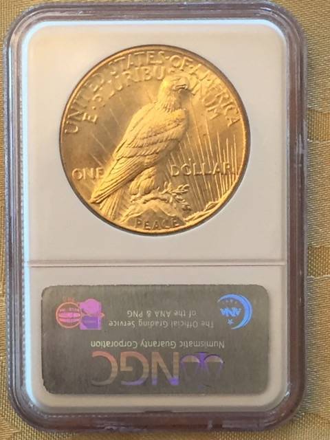 1925-Peace-Dollar---Undergraded-Or-Worth-Sending-To-Cac?