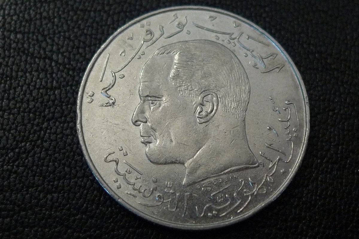 Post-Your-Coins-Representing-The-Animal-Kingdom.