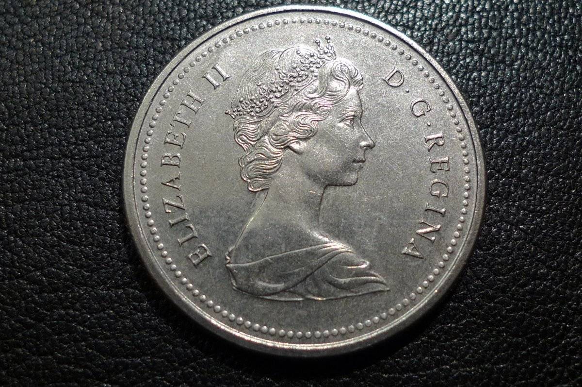 Post-Your-Coins-Representing-The-Animal-Kingdom.