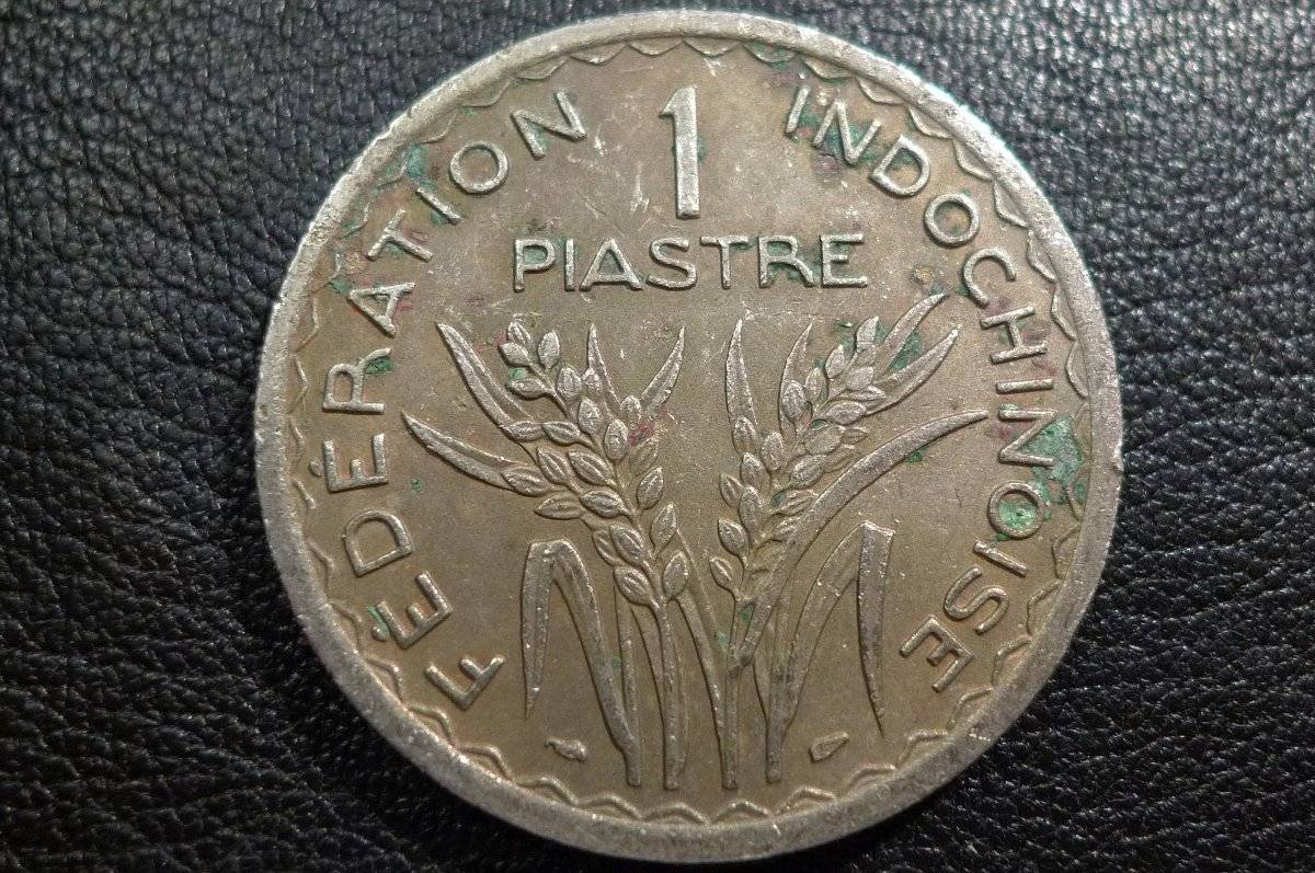 Post-Your-Lion-Coins!