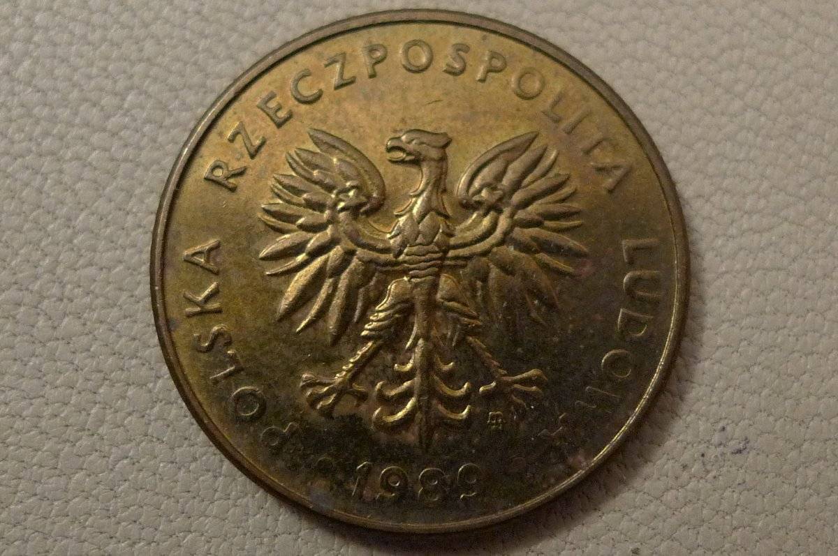 Post-Your-Coins-Representing-The-Animal-Kingdom.
