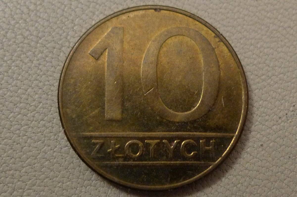 Post-Your-Coins-Representing-The-Animal-Kingdom.