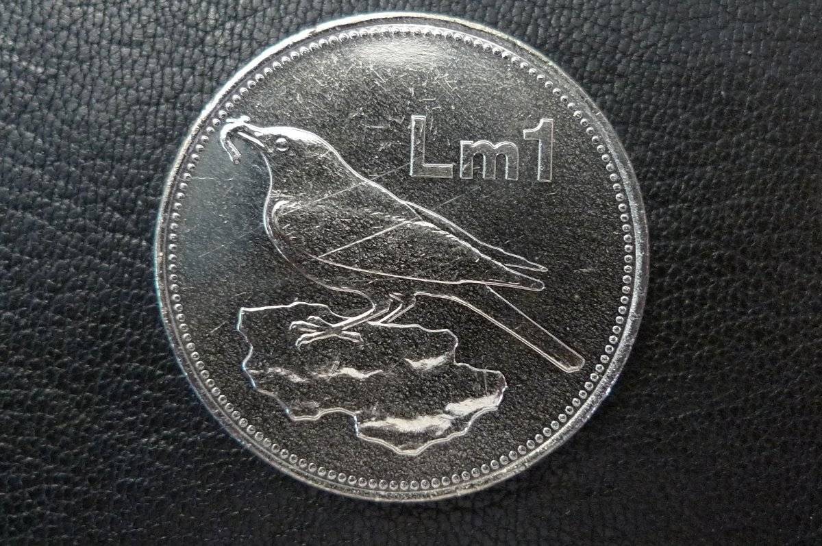 Post-Your-Coins-Representing-The-Animal-Kingdom.