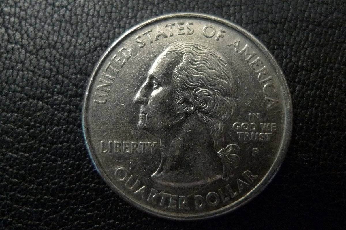 Post-Your-Coins-Representing-The-Animal-Kingdom.