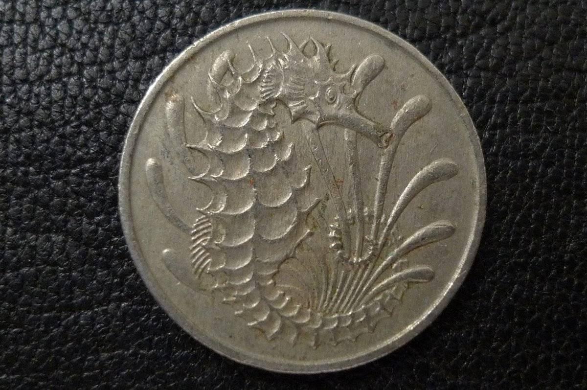 Post-Your-Coins-Representing-The-Animal-Kingdom.