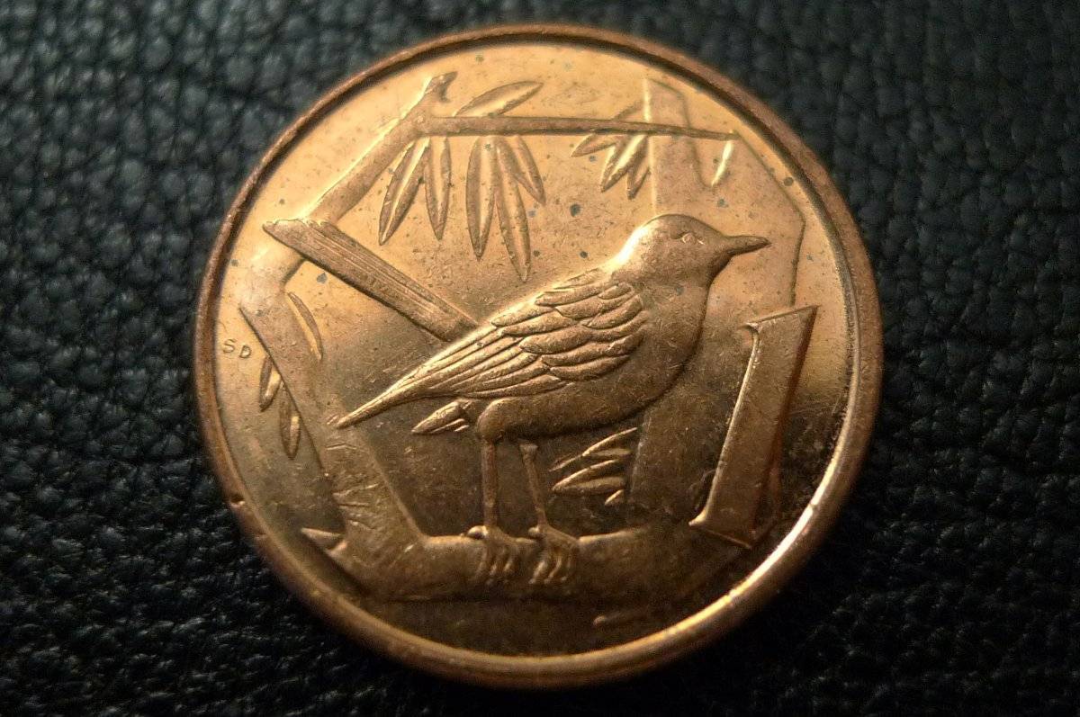 Post-Your-Coins-Representing-The-Animal-Kingdom.