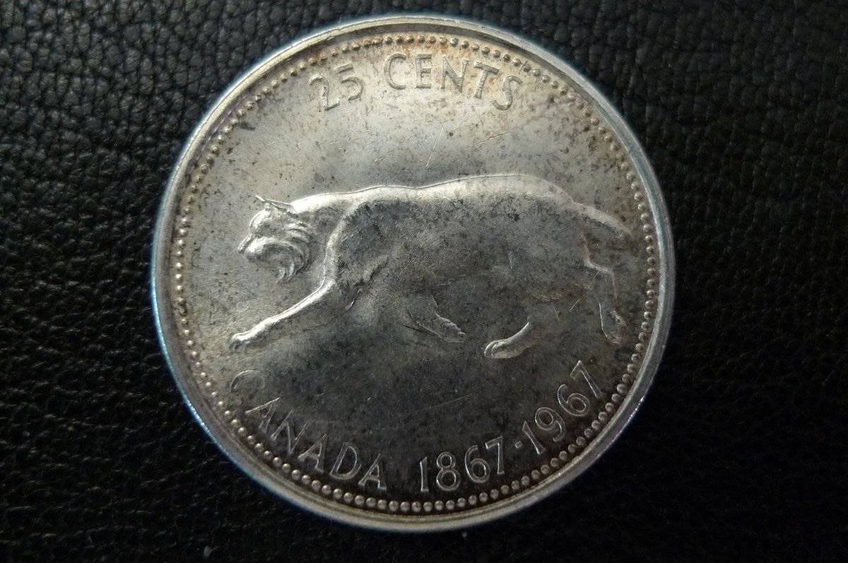 Silver-Coin-Collecting