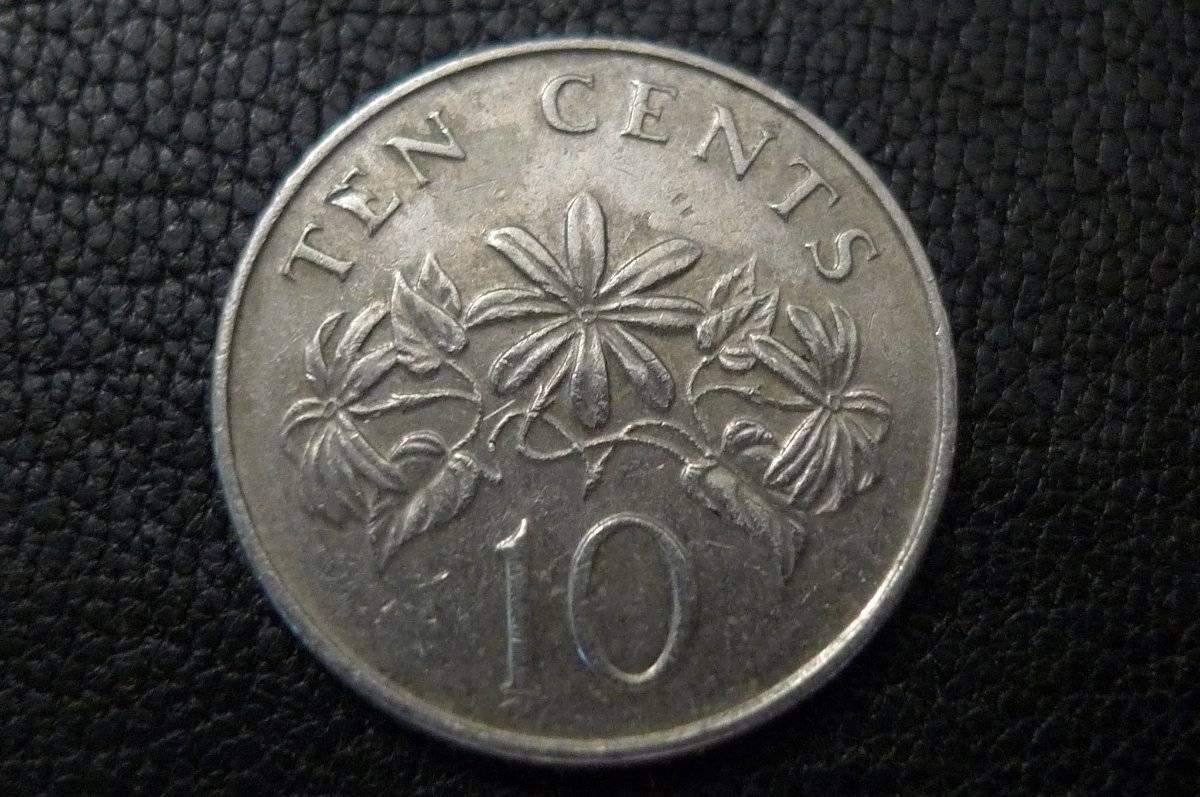 Post-Your-Lion-Coins!