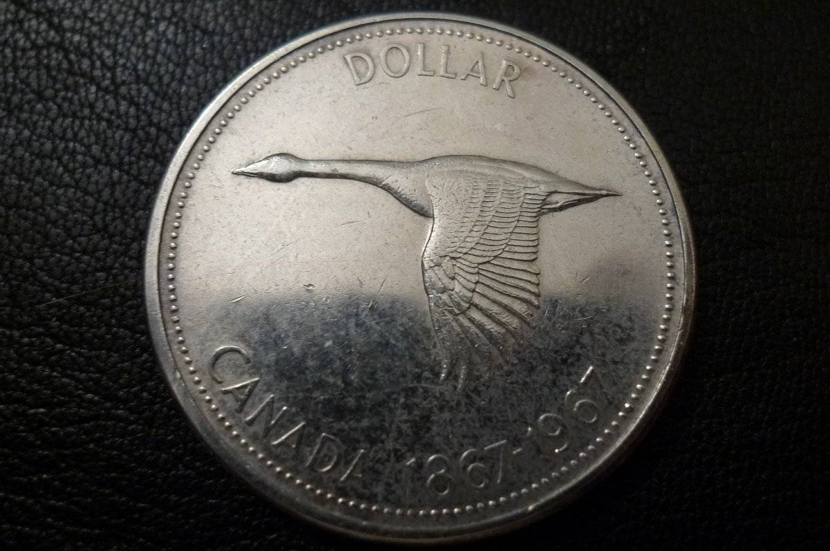Post-Your-Commemorative-Coins-Here