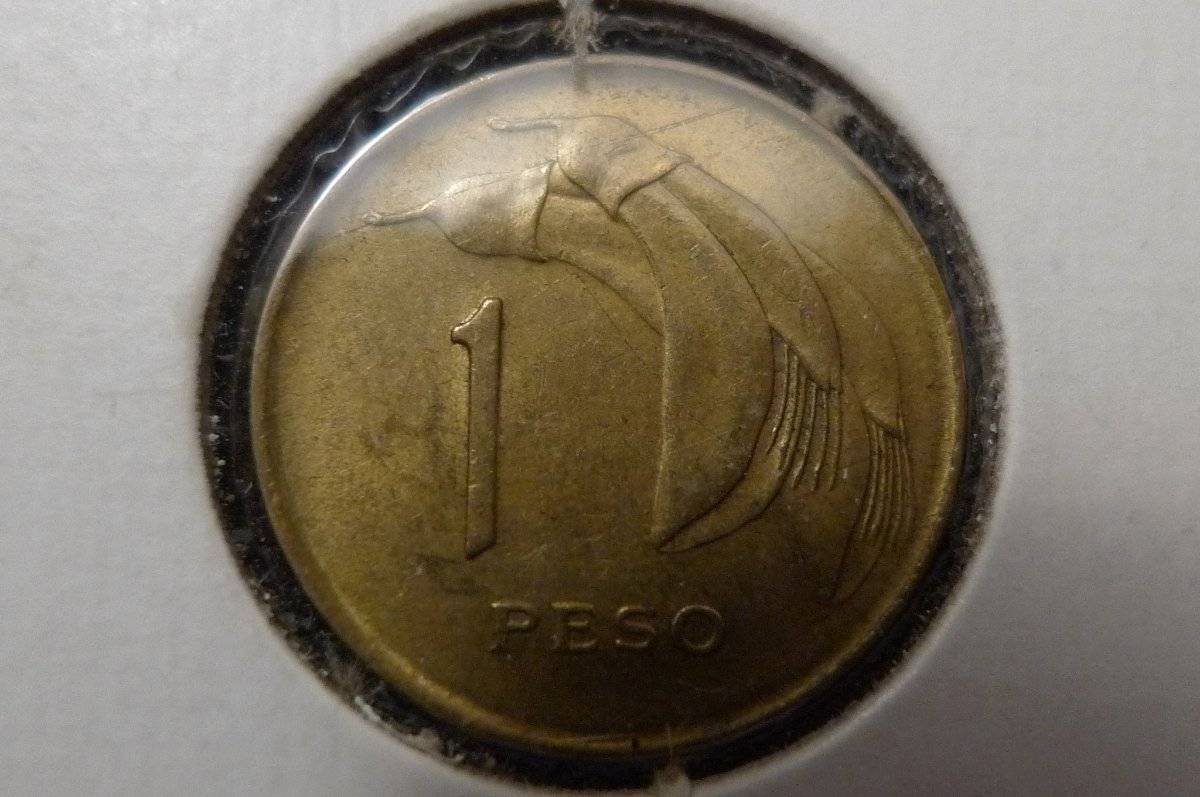 Post-Your-Sun-Face,-Sunrise,-Or-Sunset-Coins!