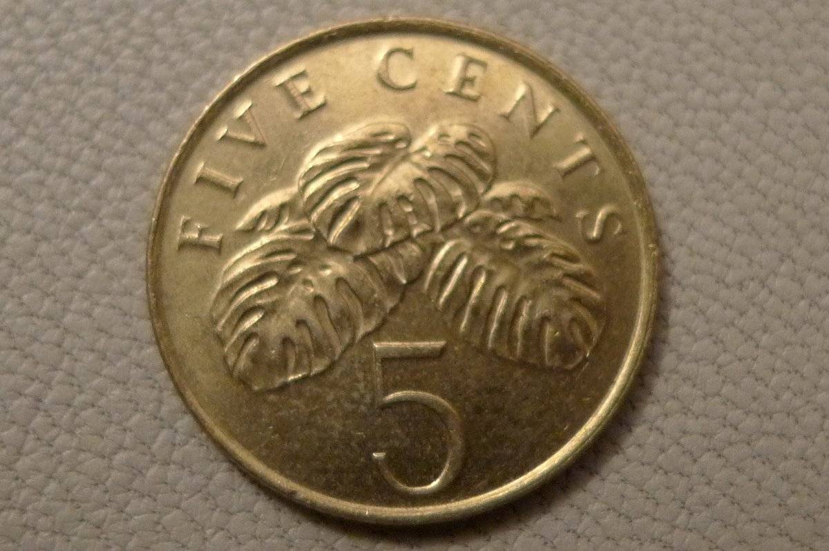 Post-Your-Lion-Coins!