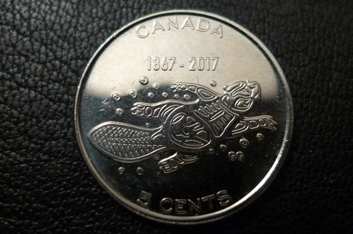 Post-Your-Coins-Representing-The-Animal-Kingdom.