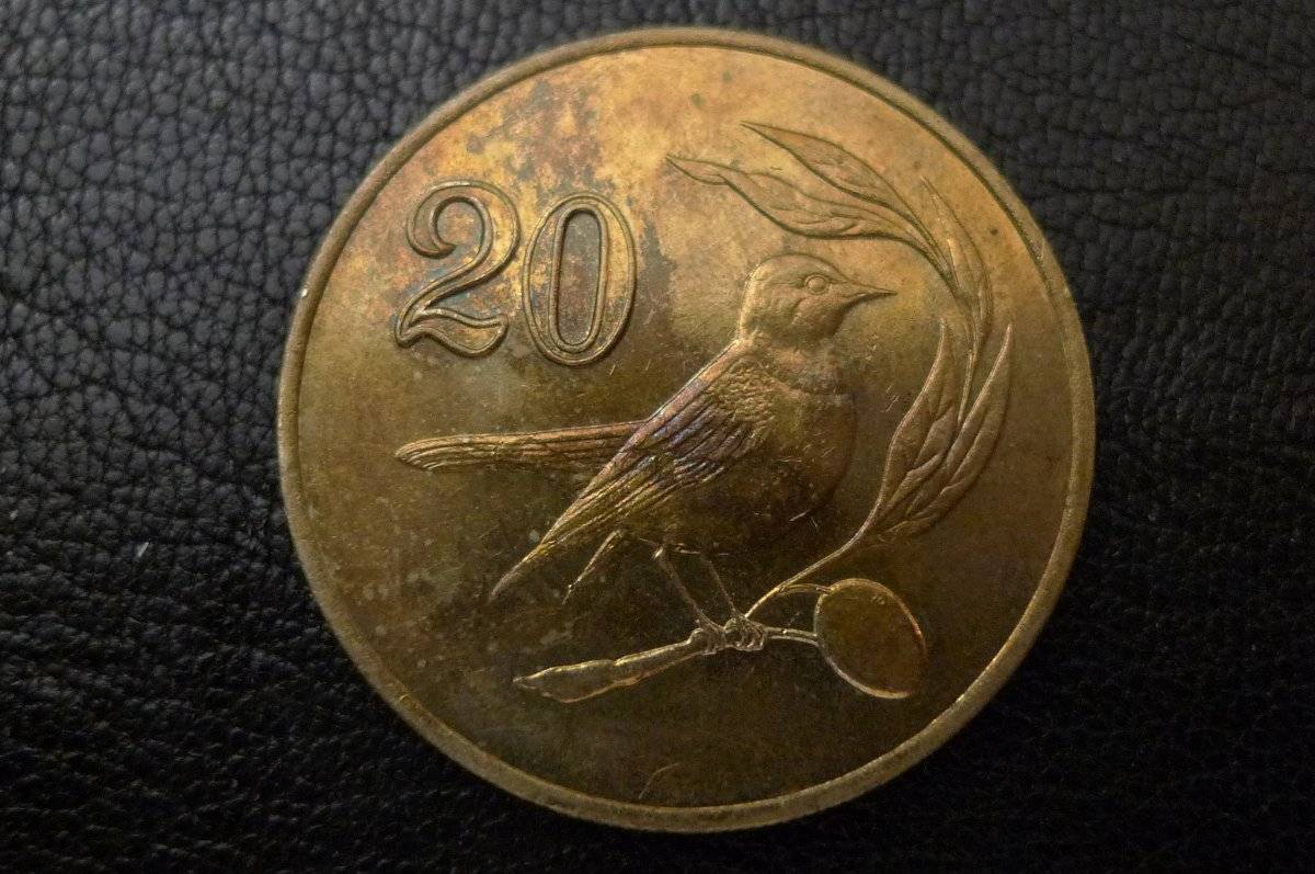 Post-Your-Coins-Representing-The-Animal-Kingdom.