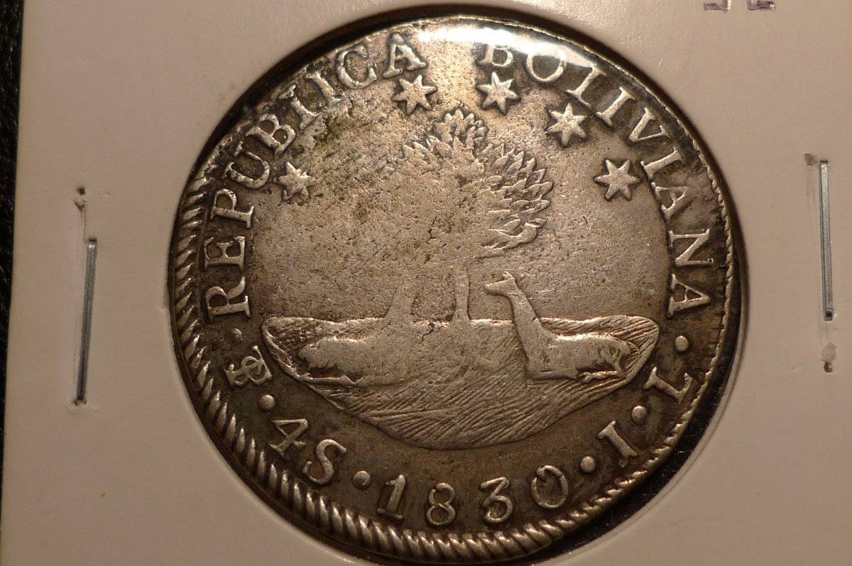 Post-Your-Coins-With-Stars