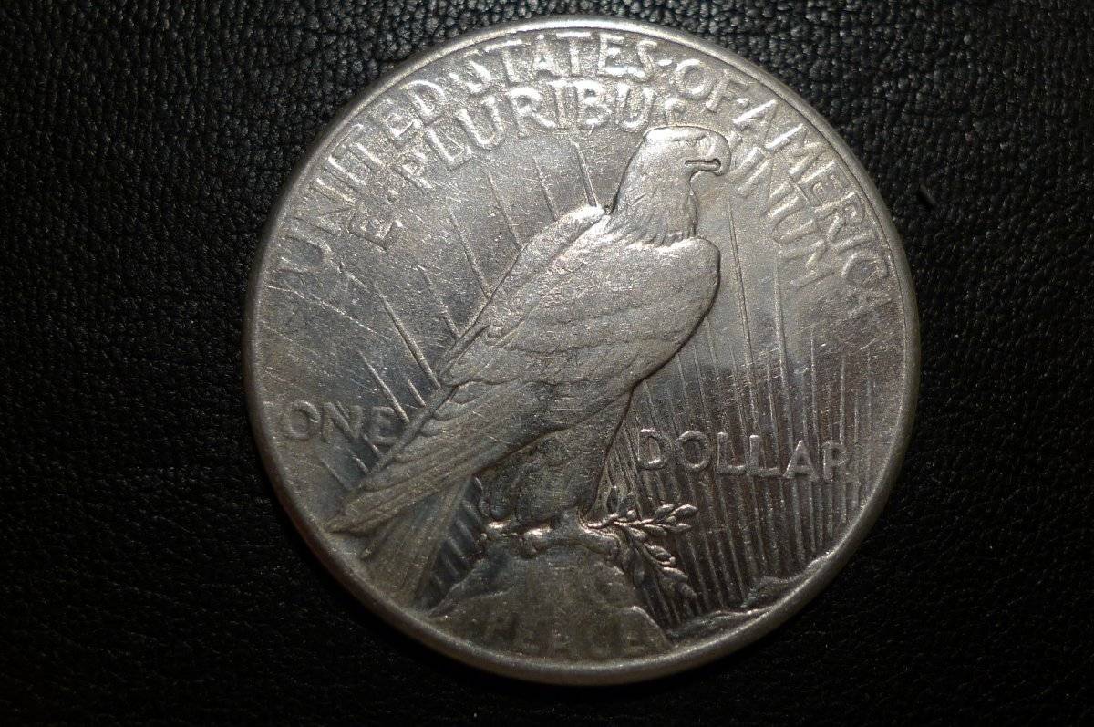1925-P-Peace-Dollar,-Opinions-Please.