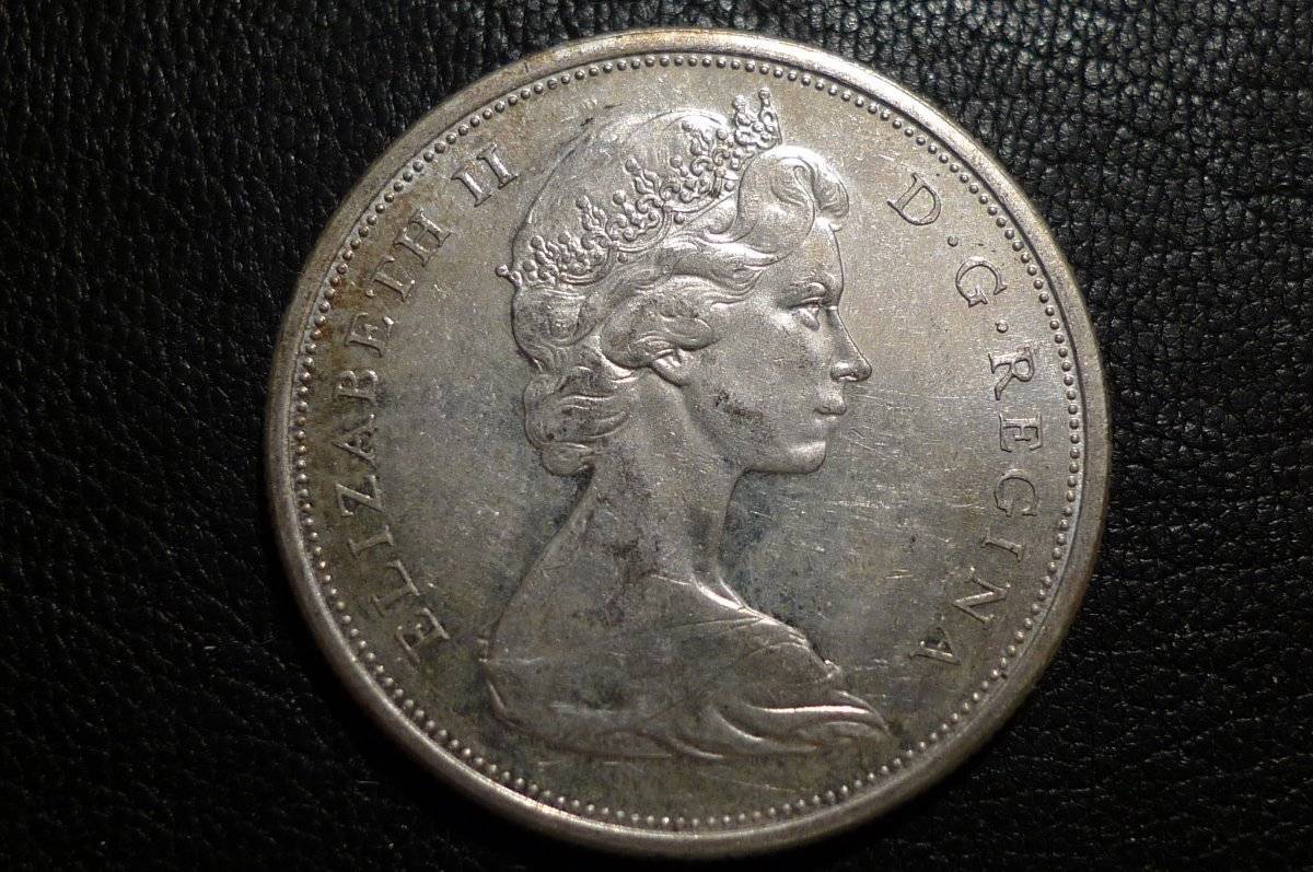 Post-Your-Lion-Coins!