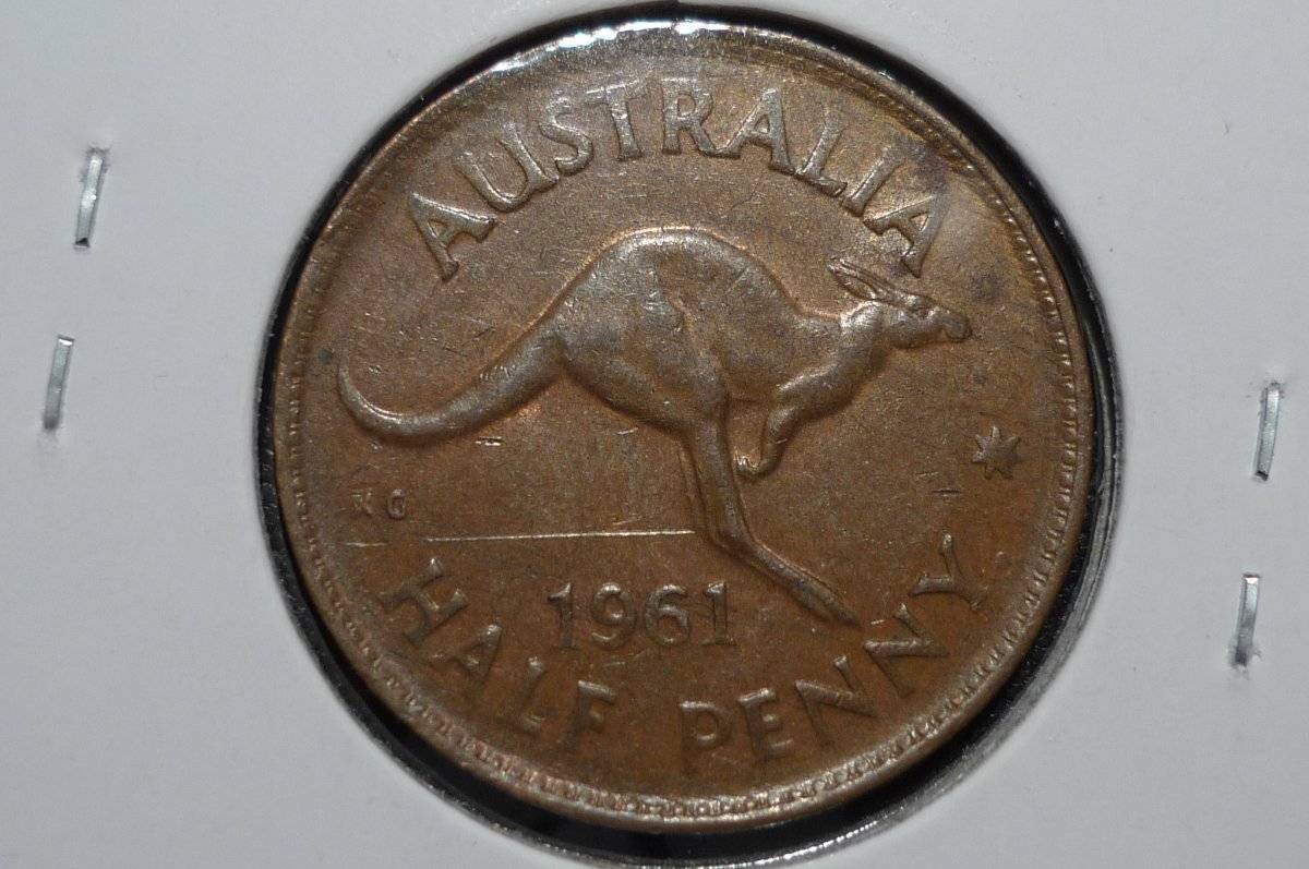 Post-Your-Coins-Representing-The-Animal-Kingdom.