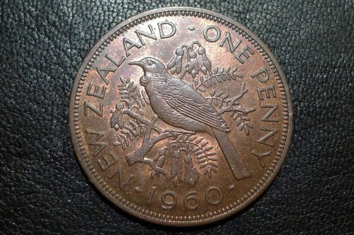 Post-Your-Coins-Representing-The-Animal-Kingdom.