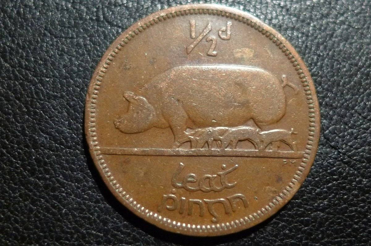 Post-Your-Coins-Representing-The-Animal-Kingdom.