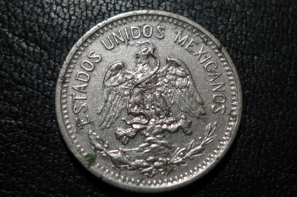 Post-Your-Coins-Representing-The-Animal-Kingdom.