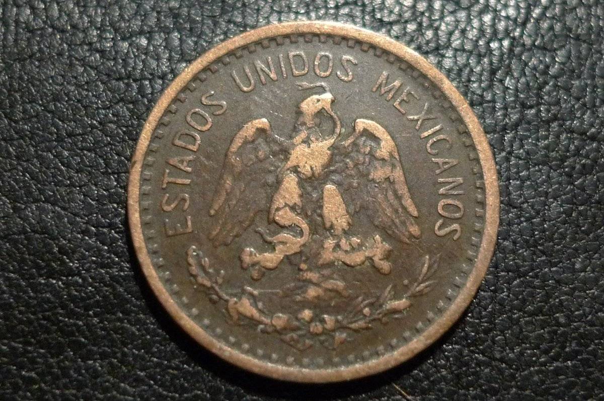 Post-Your-Coins-Representing-The-Animal-Kingdom.