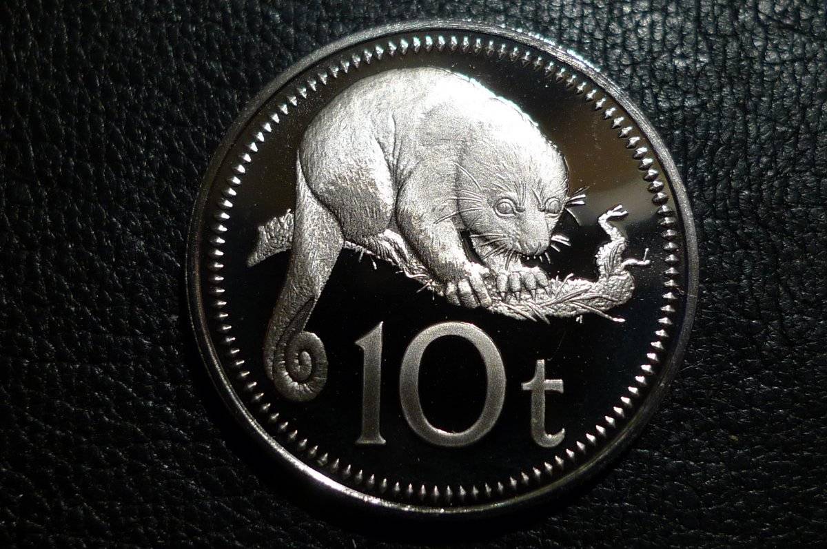 Around-The-World-With-Coins---A-Coin-Geography-Game