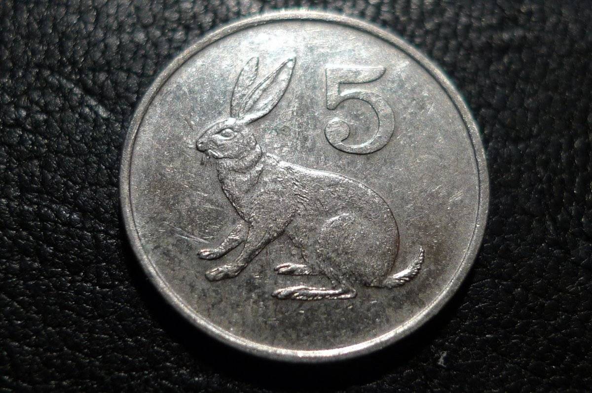 Post-Your-Coins-Representing-The-Animal-Kingdom.